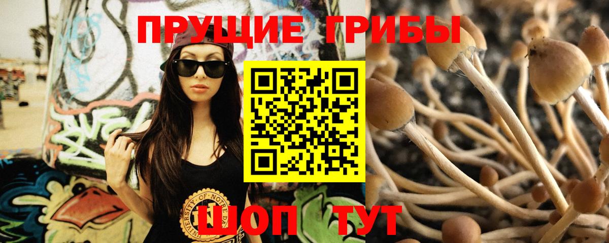 Галлюциногенные грибы Magic Shrooms Красногорск