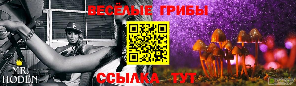 Галлюциногенные грибы MAGIC MUSHROOMS  даркнет сайт  Красногорск  Вход с VPN 
